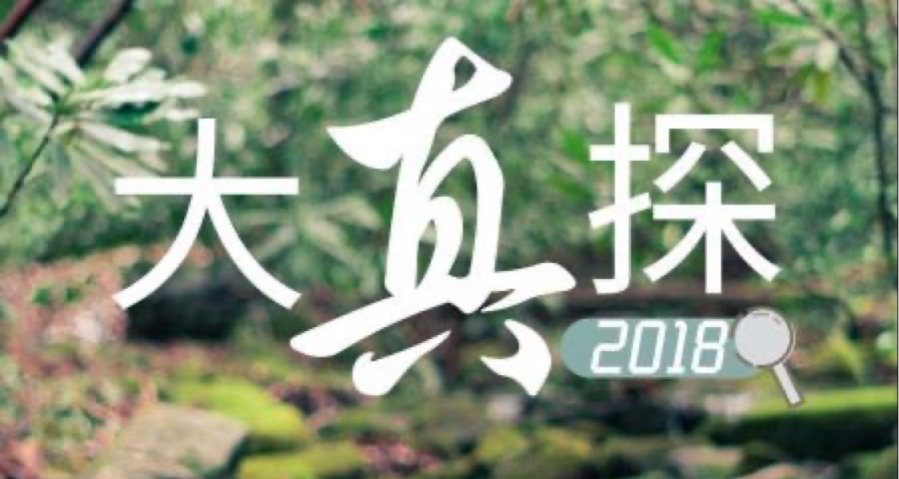 還記得小時候看的《大“真”探》嗎？