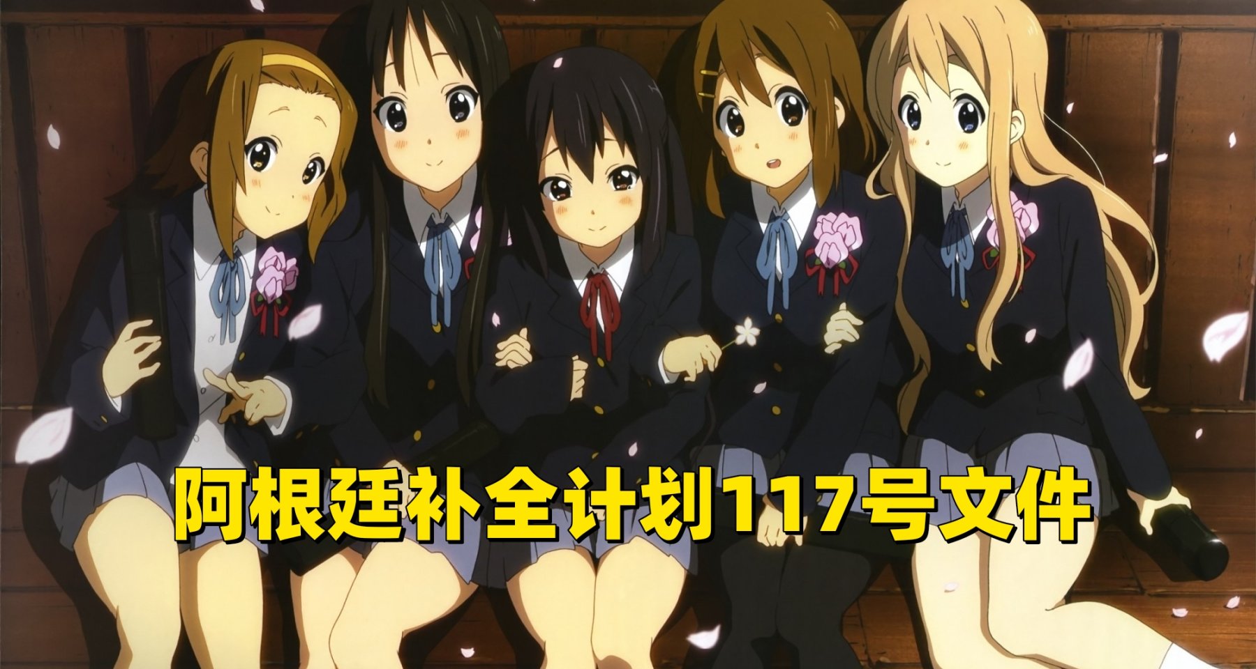 阿根廷補全計劃117號文件