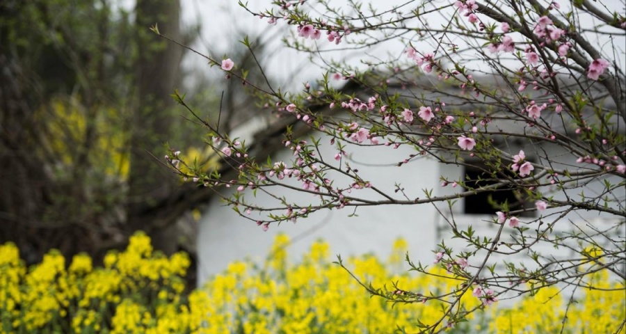有座小城叫高郵