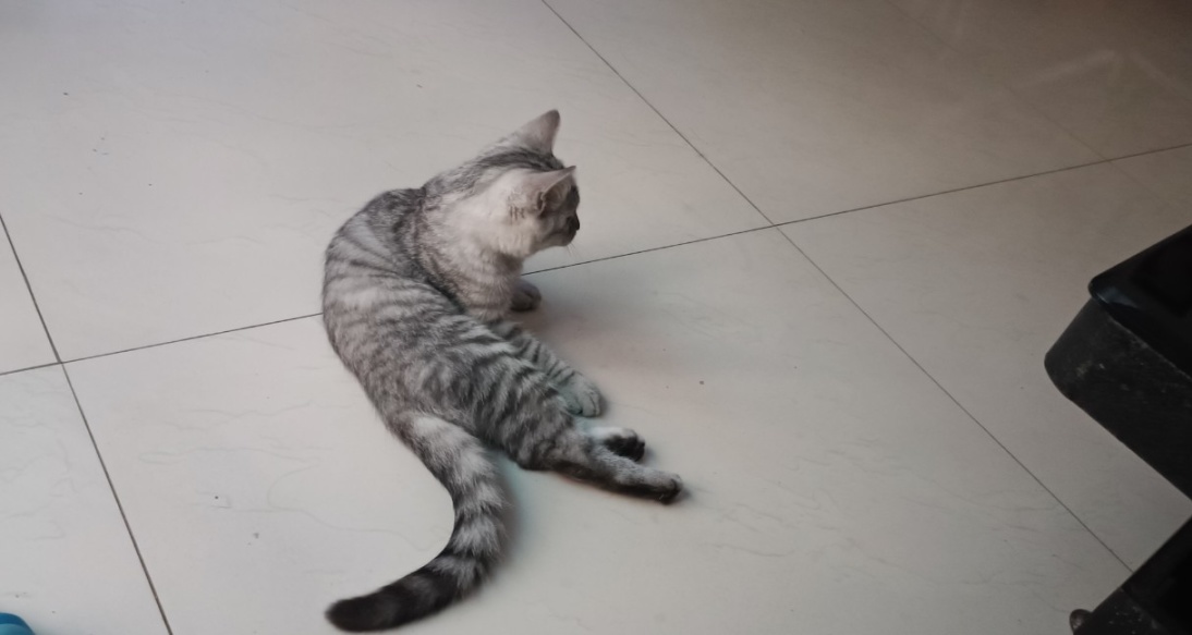 你有贏嗎，兒子？