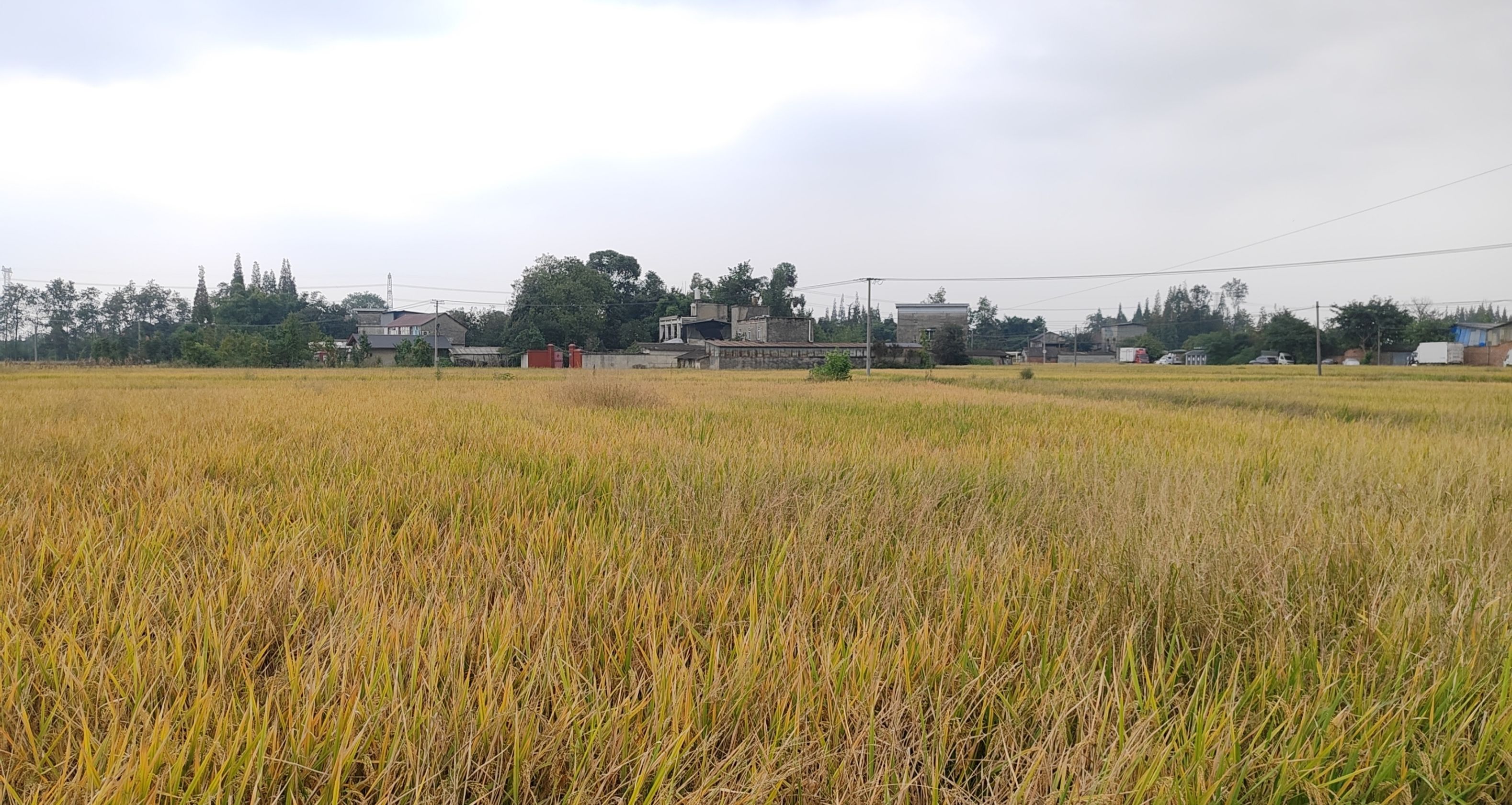 大三去考古实习（一）