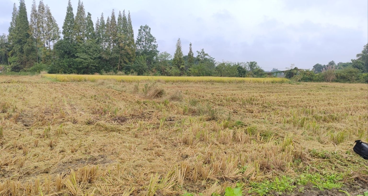 考古工地實習（二）