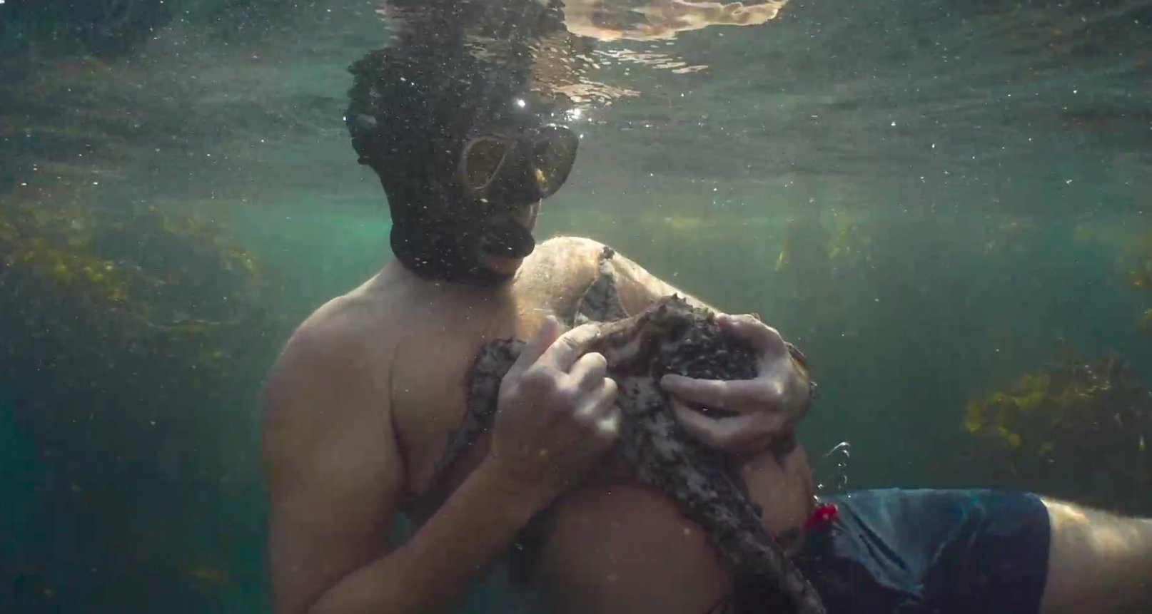 《我的章鱼老师》