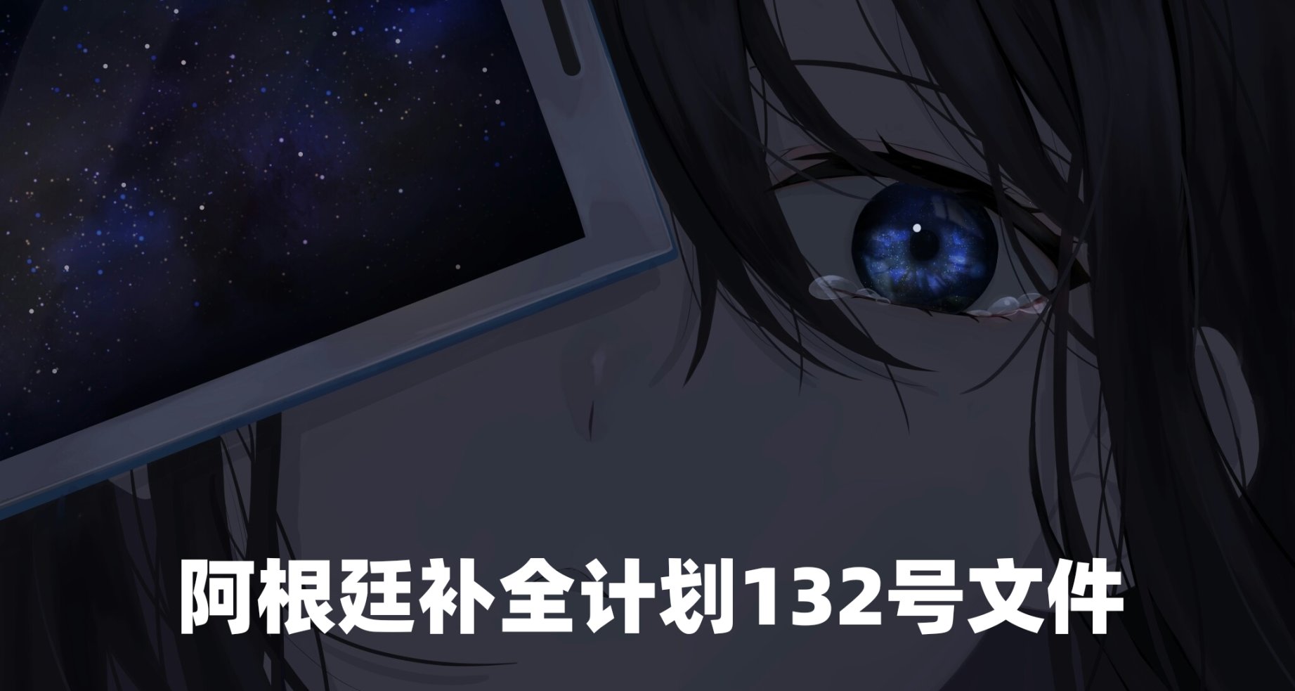 阿根廷补全计划文件〔2023〕132号