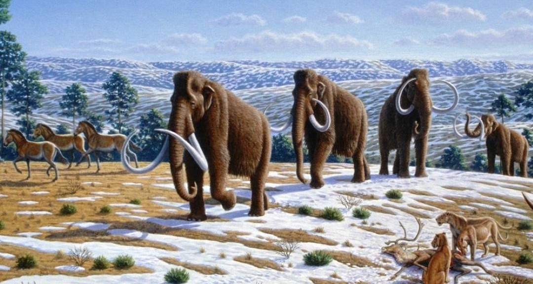 上班摸鱼，一些第四纪生物