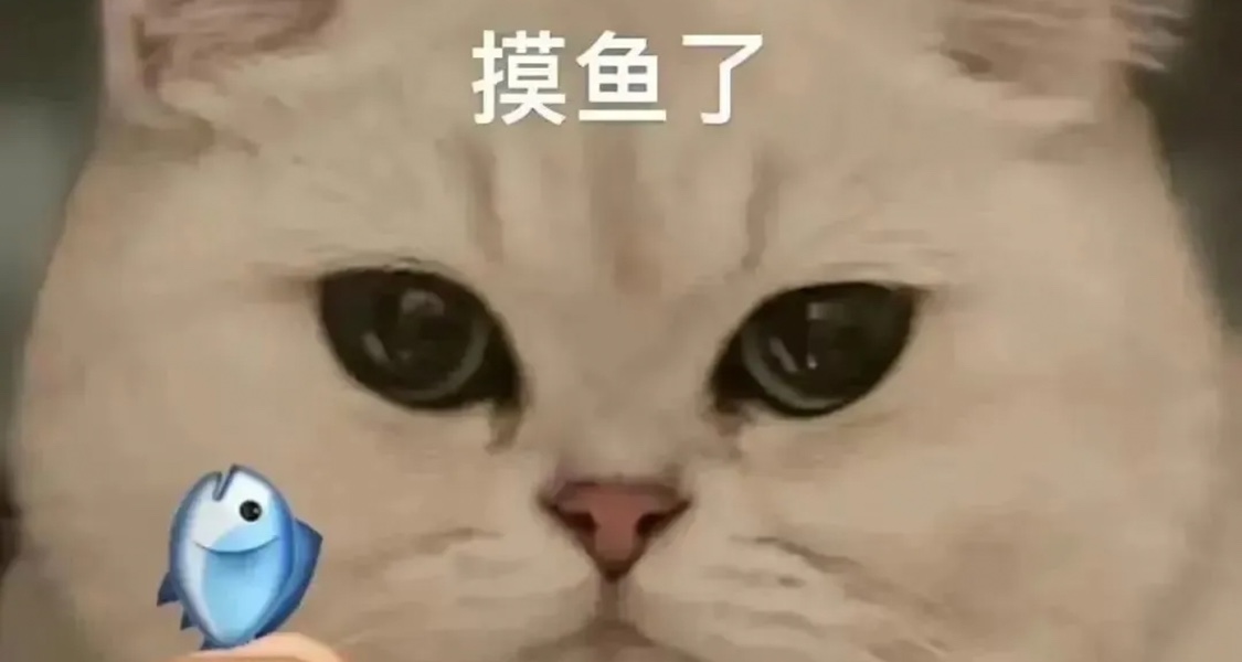 給大家分享幾個神級摸魚網站。