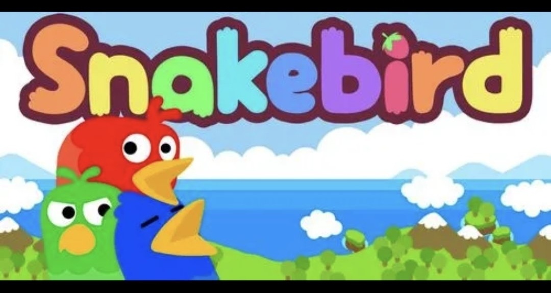 E寶喜加一：蛇鵜鳥！何方神聖？（內附介紹與鏈接）