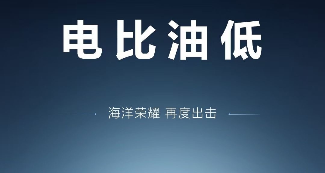 14.98万起的海豹12.98起的宋，刺激