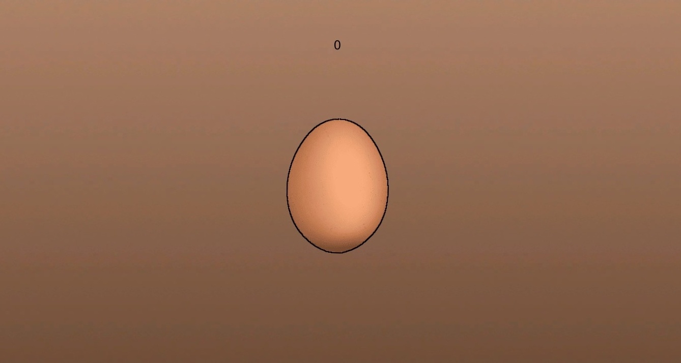這是一顆蛋EGG