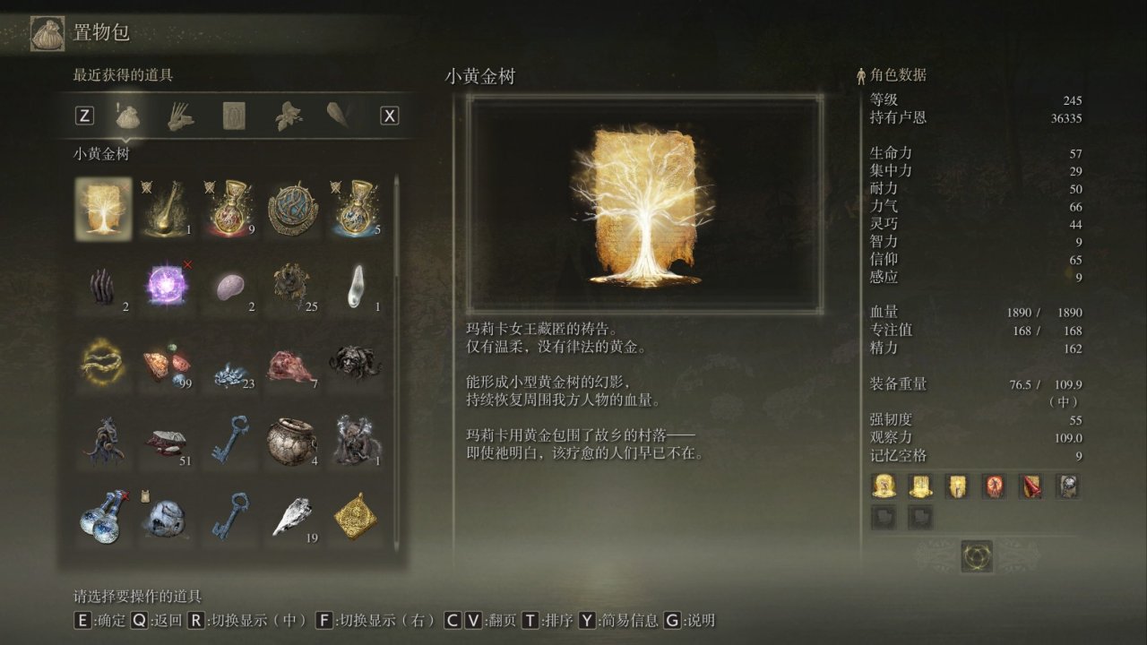 玛丽卡身世或许是这样。