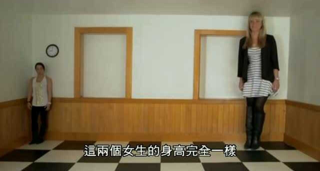 我分不清啊，我真的分不清啊！