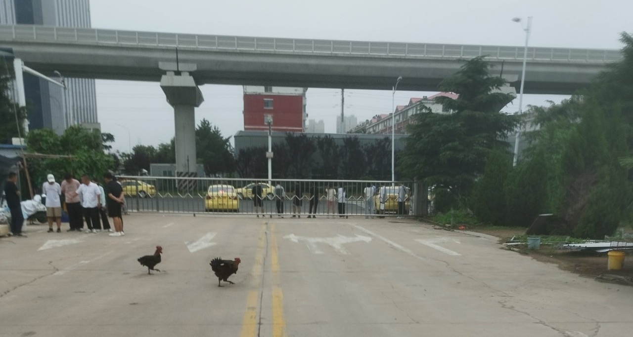 什么都没咋干，暑假却已过半