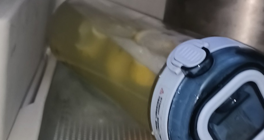 在家簡單自制檸檬水