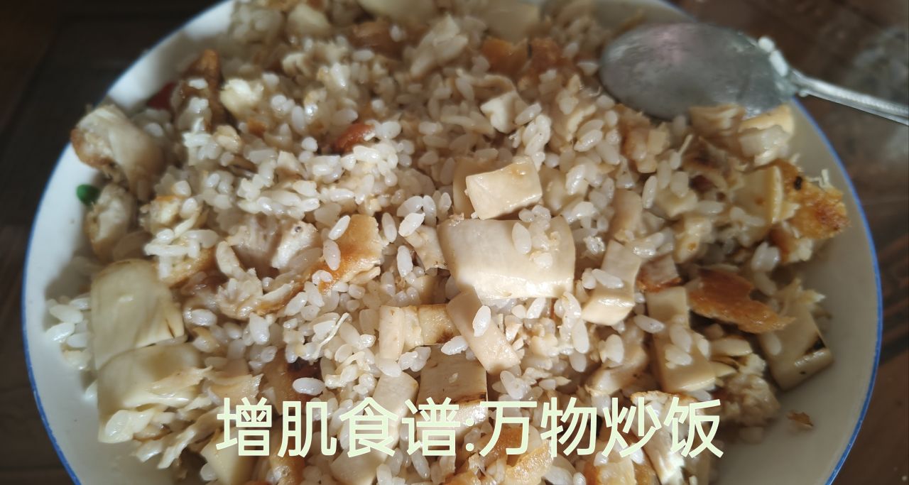 增肌经验与食谱分享:万物炒饭