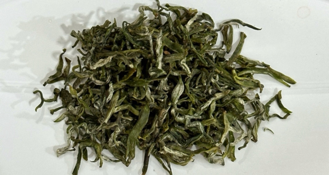 窮鬼喝茶日記28:無我茶社蒙頂甘露