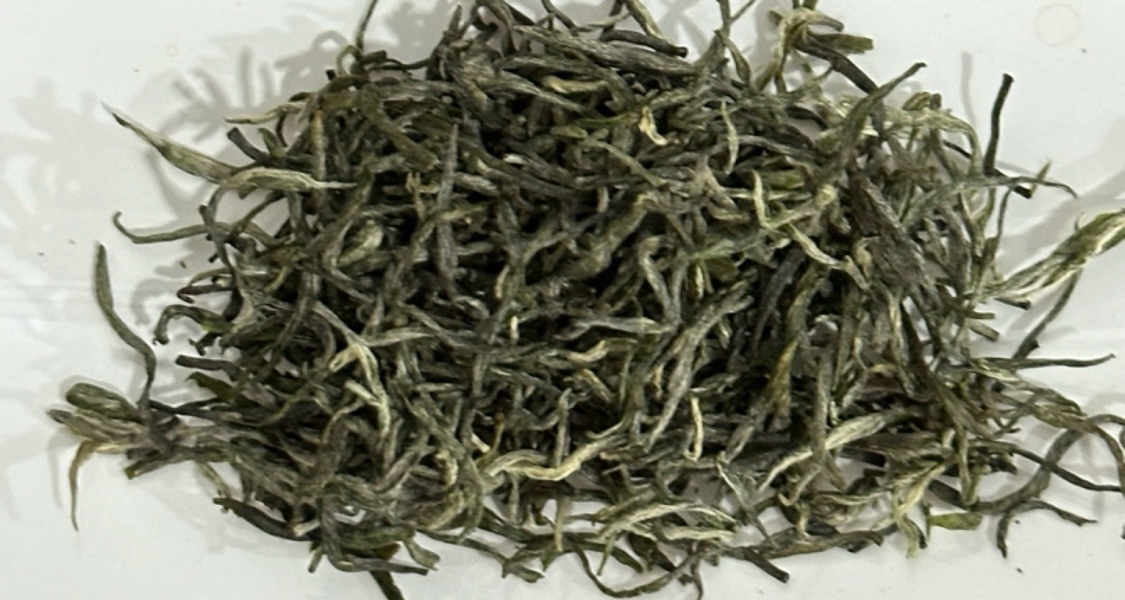 窮鬼喝茶日記32:文新信陽毛尖