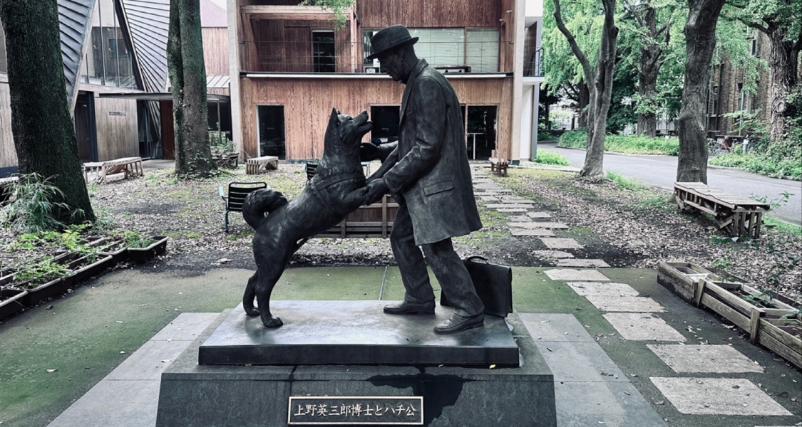 来看看日本的大学食堂都有什么吃的