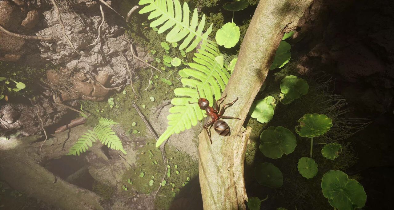 IGN給了三分的遊戲卻讓我津津有味，螞蟻帝國有什麼樂趣