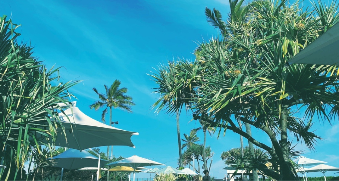 5款精選新遊推薦 喜歡加入願望單!demo入庫即刻開玩,含其他免費