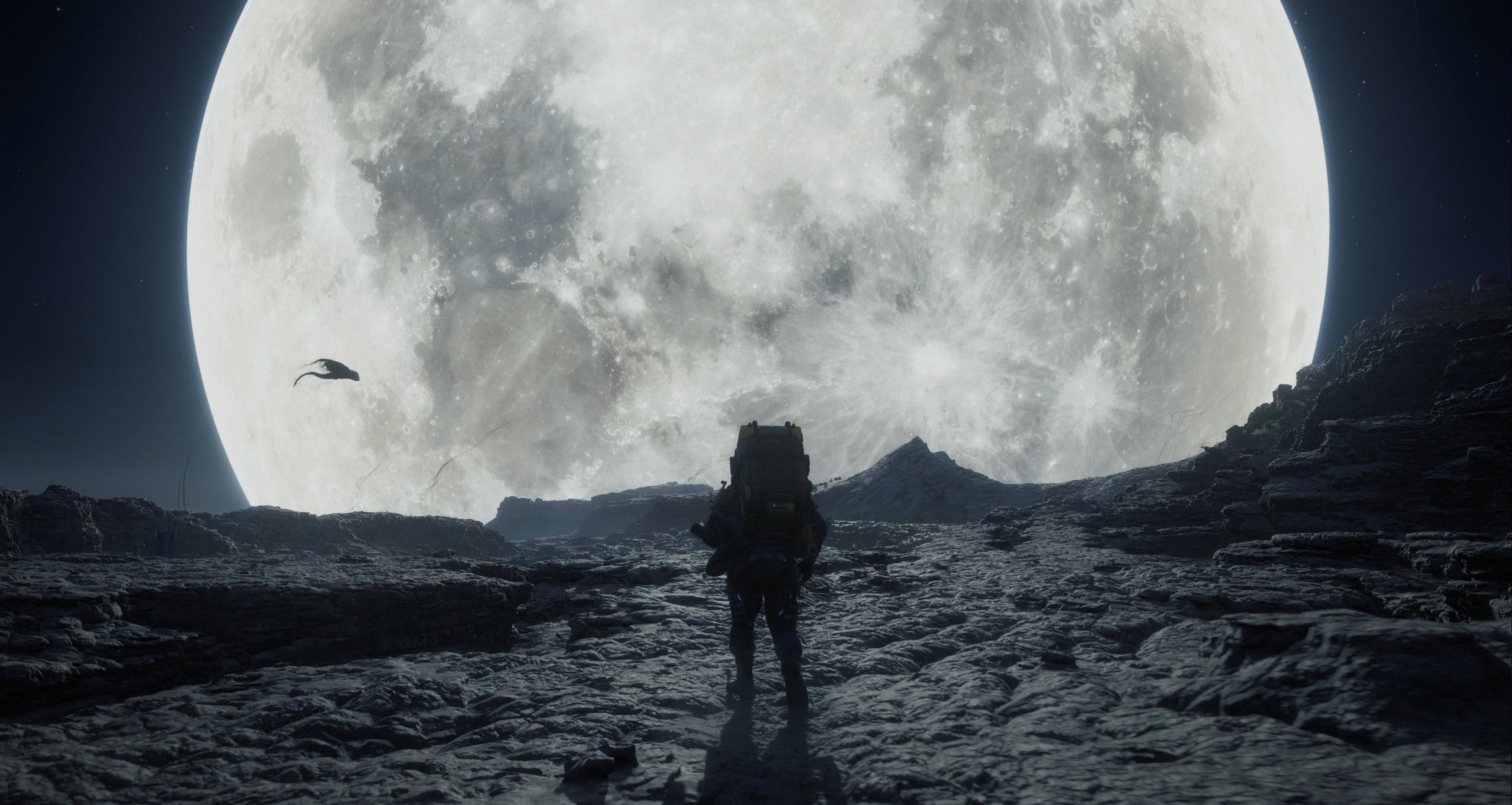 換了4臺顯示器最後還是選擇了oled