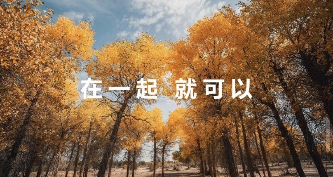 华为Mate品牌盛典开启