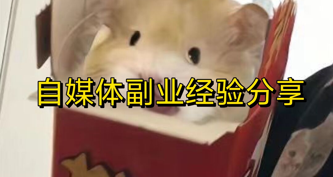 分享一下自己四個月的自媒體副業經驗！