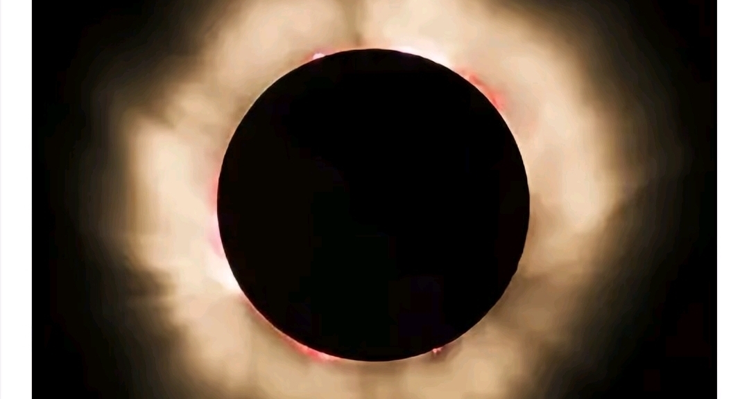 一些日常見不到的畫面