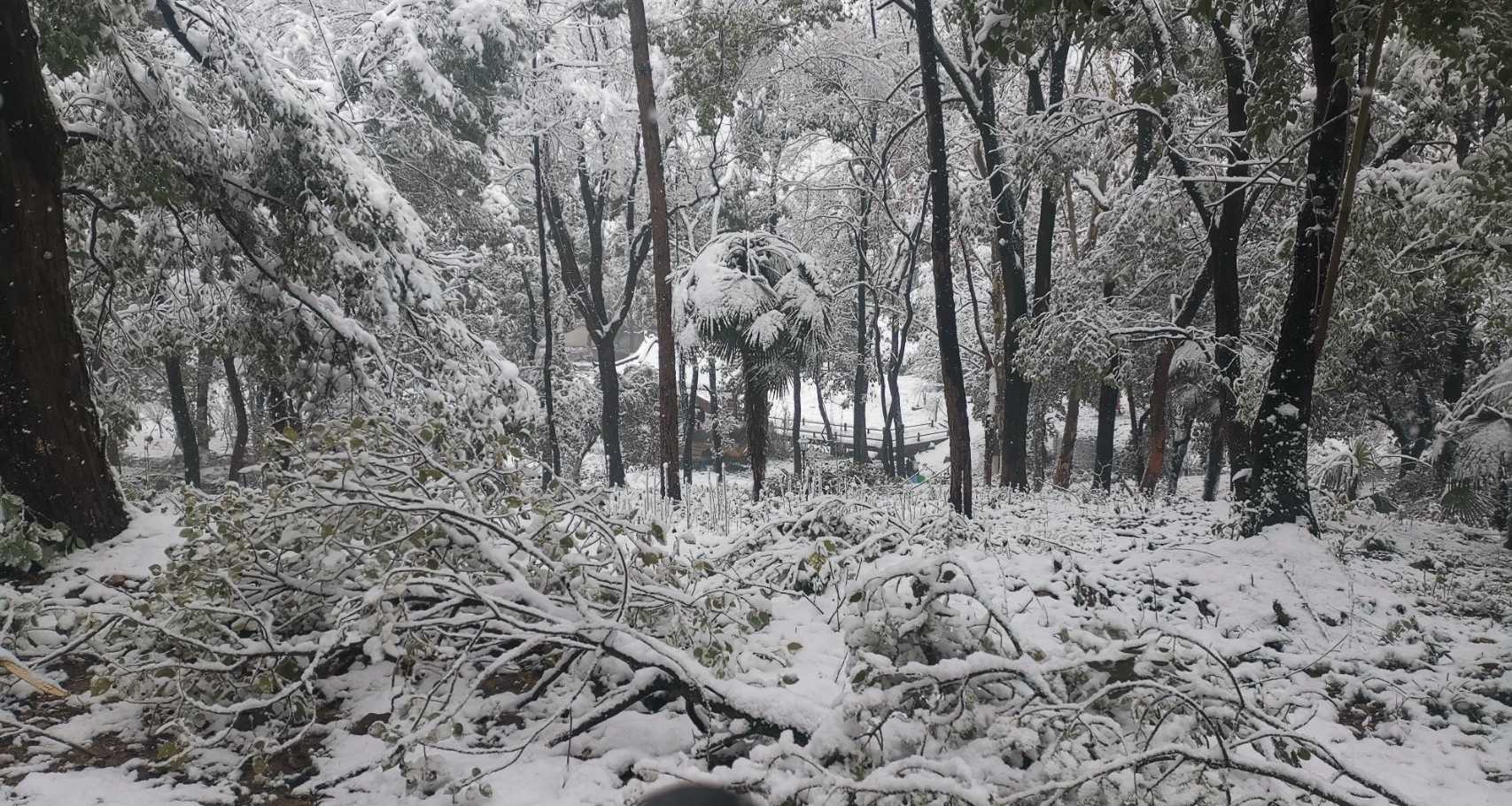 一年一度的冬季大促，拯救你的遊戲荒