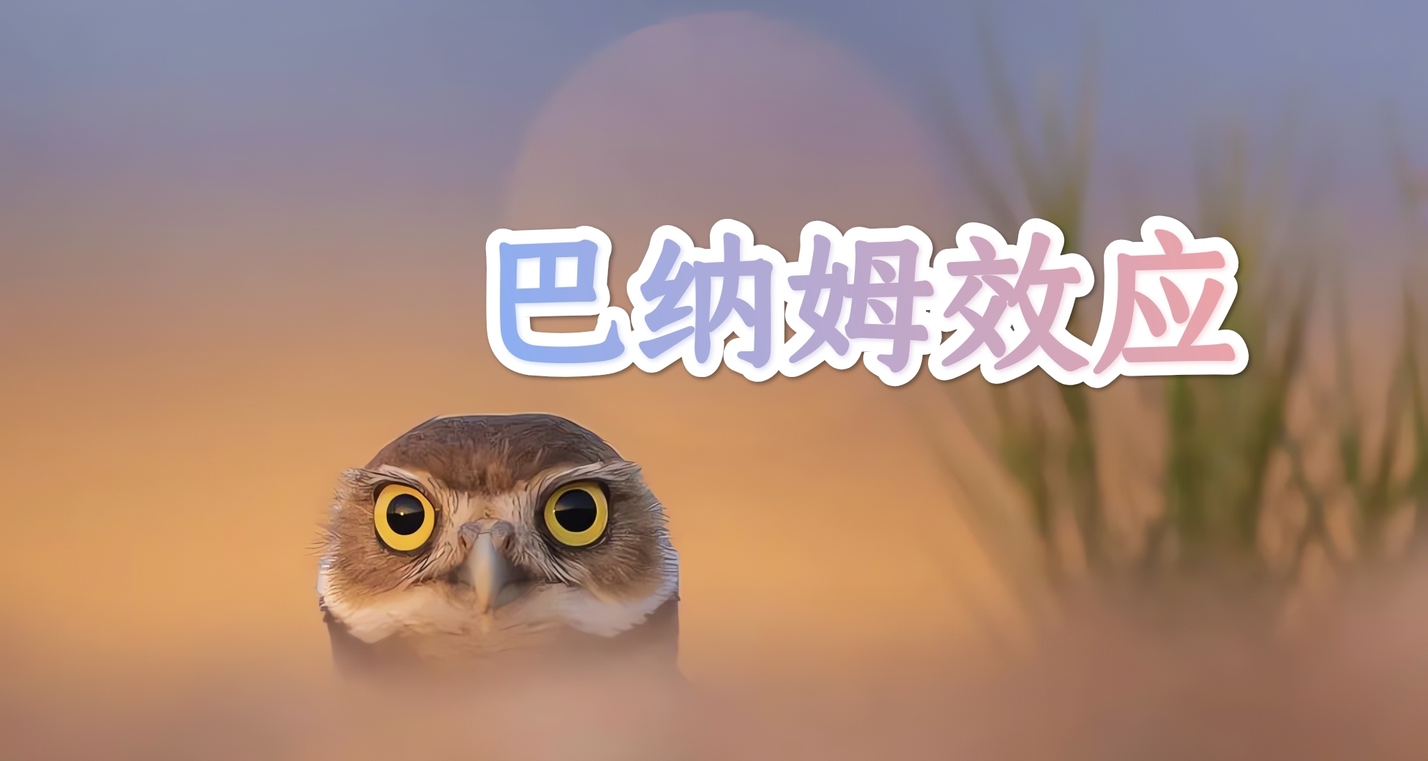 何謂［巴納姆效應］？