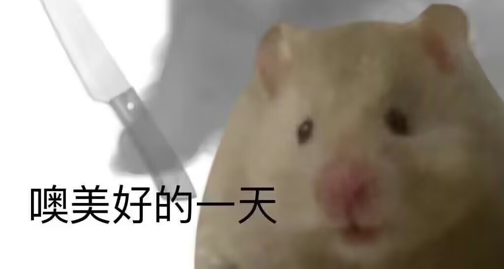 十元以下最高評分的佳作有那些