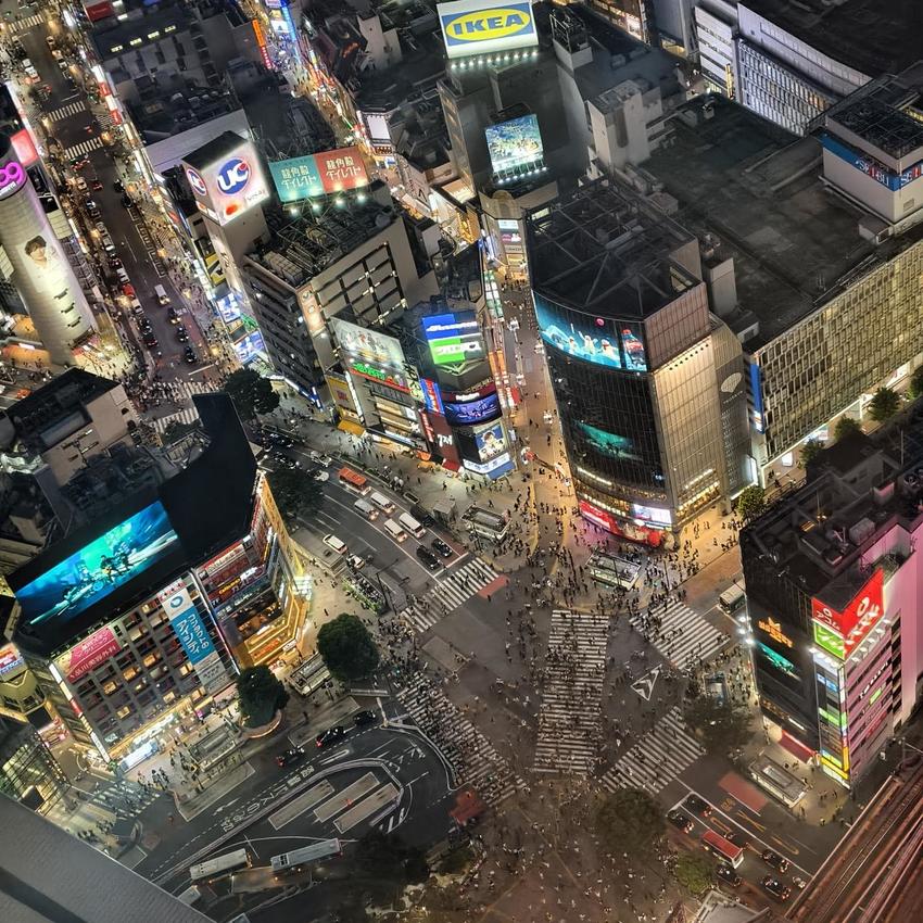 【球盟会】辞职后的生活