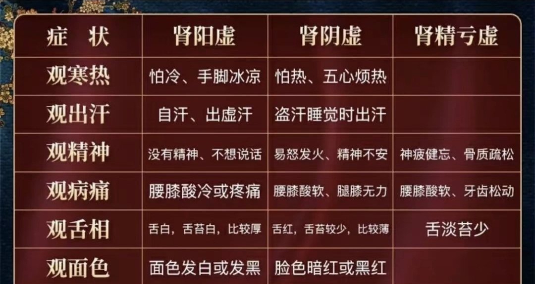 补肾吃什么