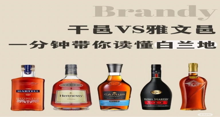 🧐祛魅調酒學 葡萄汁？硬核酒！白蘭地你懂多少