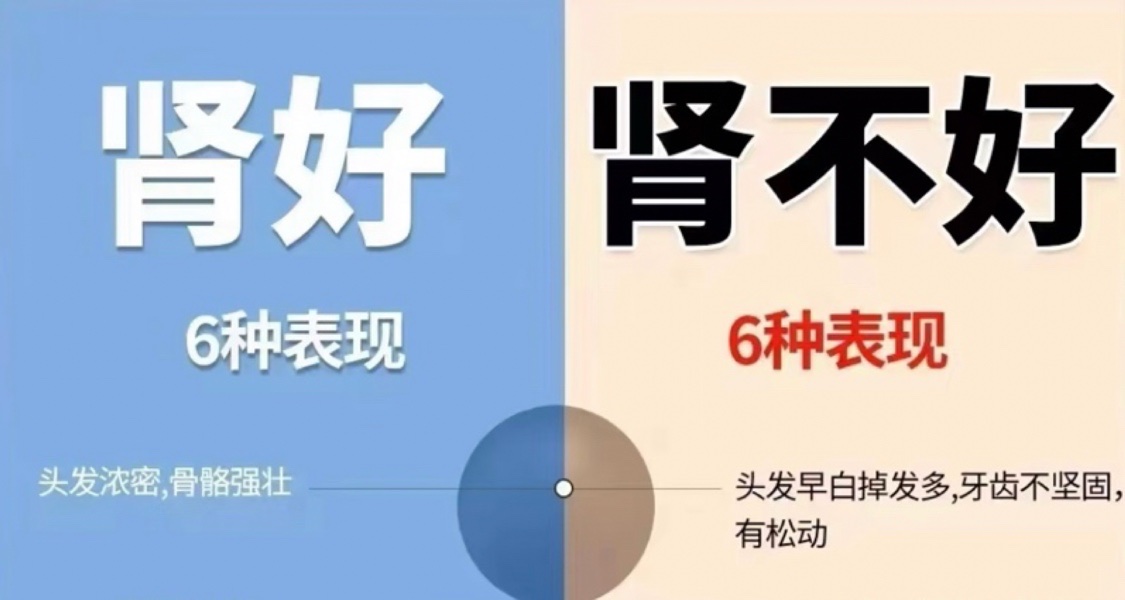 食補養腎方法