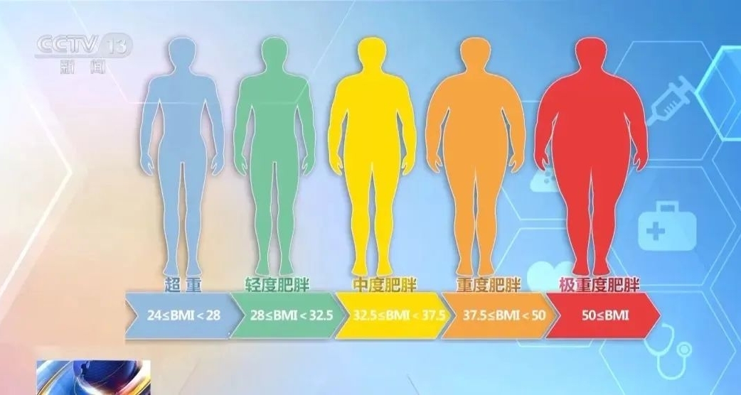 體重管理年：我該如何有效的去減脂？第一期