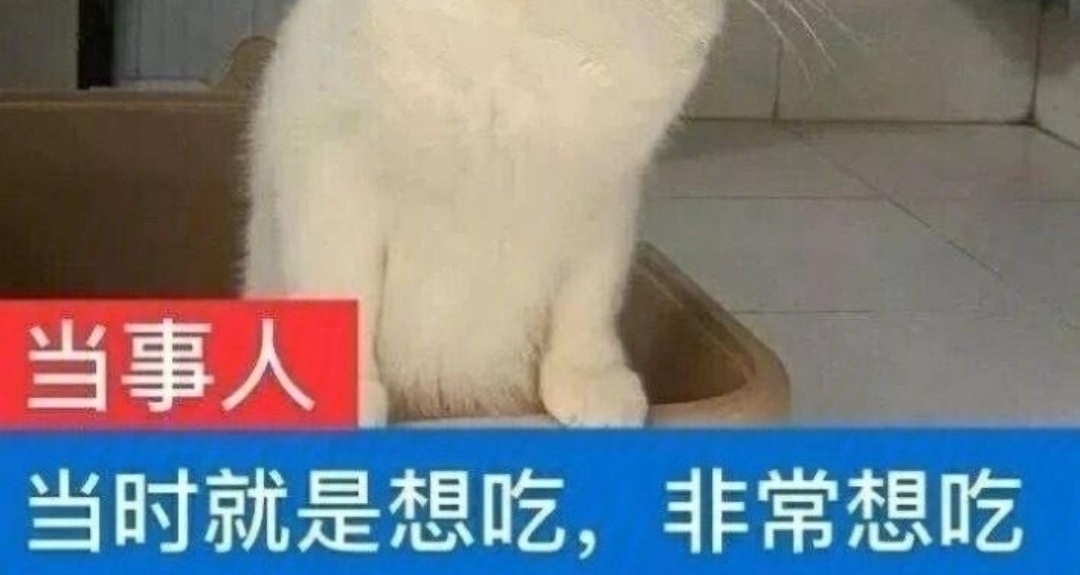 我喫喫喫！一名普通大四學生的零食收藏