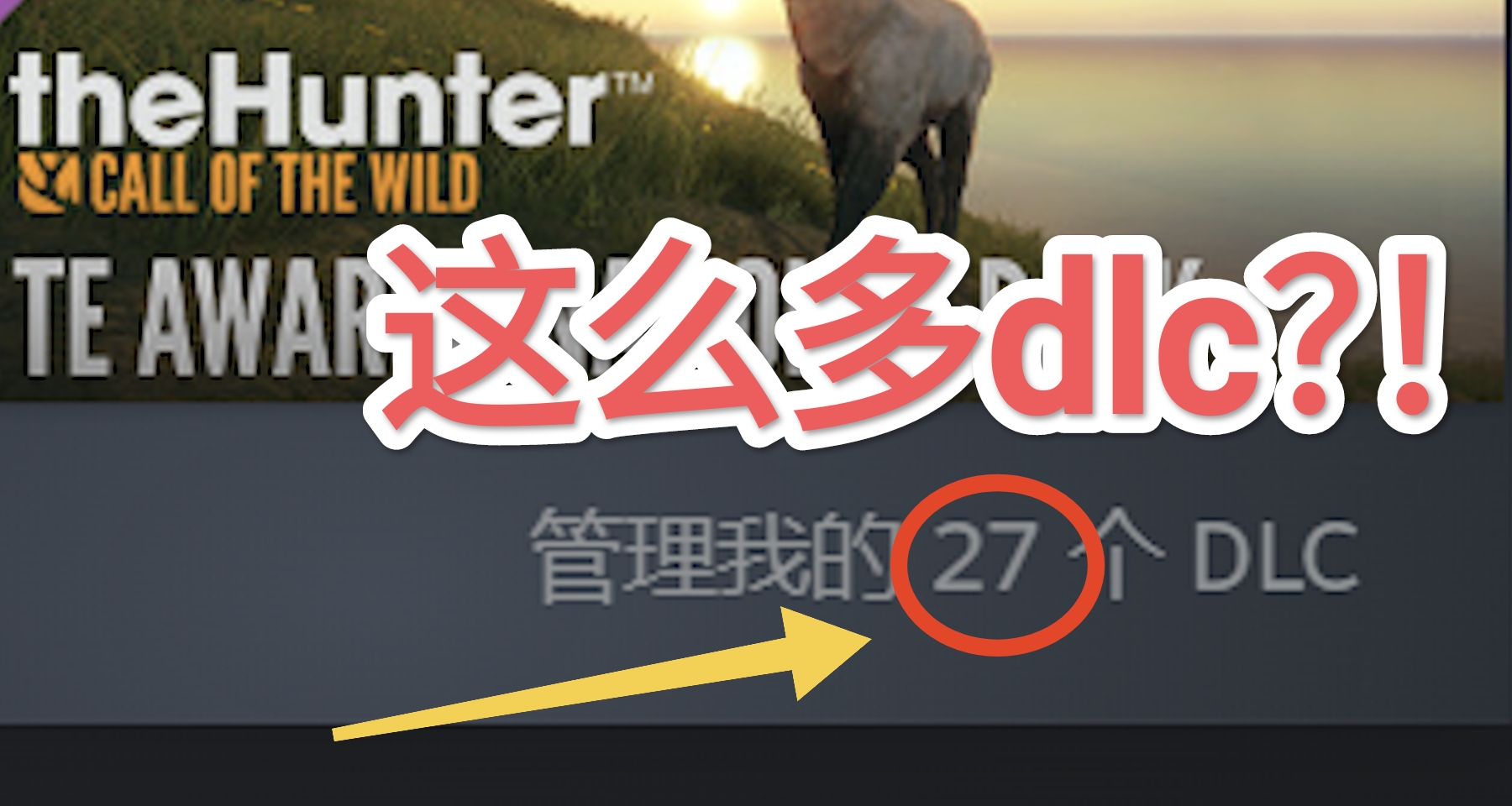 便宜的不一定便宜？盤點那些dlc比本體還貴的遊戲