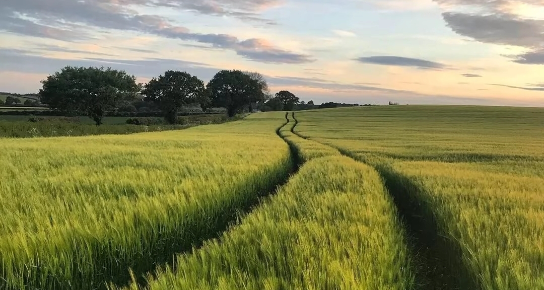 英特爾銳炫™ B570顯卡：性能與性價比的終極平衡