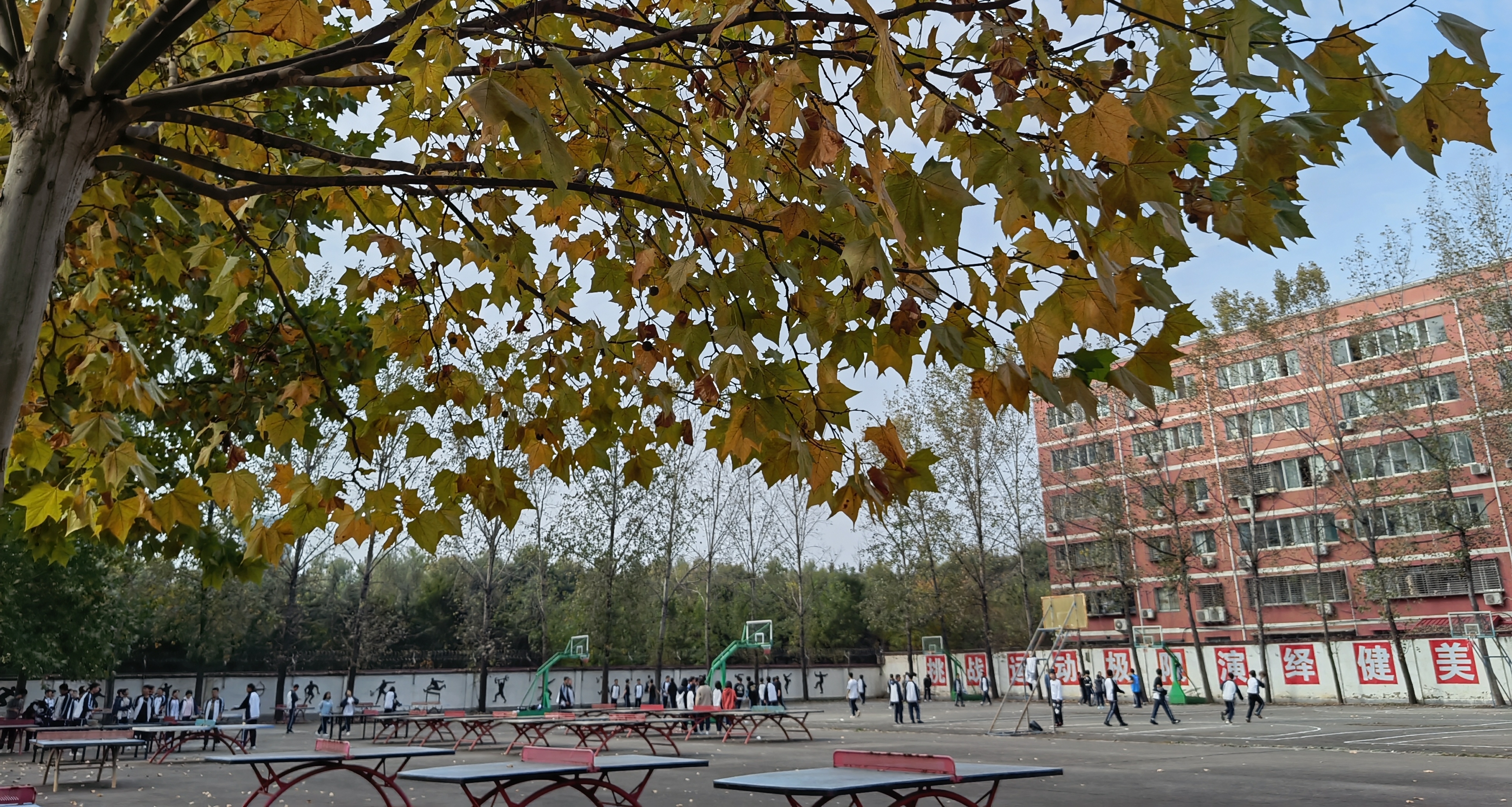 相識七年的朋友（記錄貼）