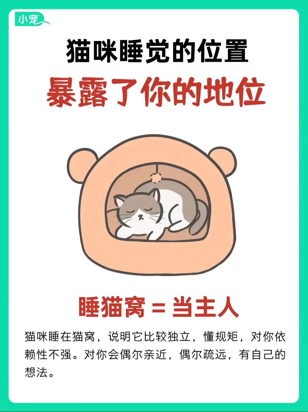 【球盟会】家里有喵的都知道，猫猫睡觉的位置会暴露主人的地位