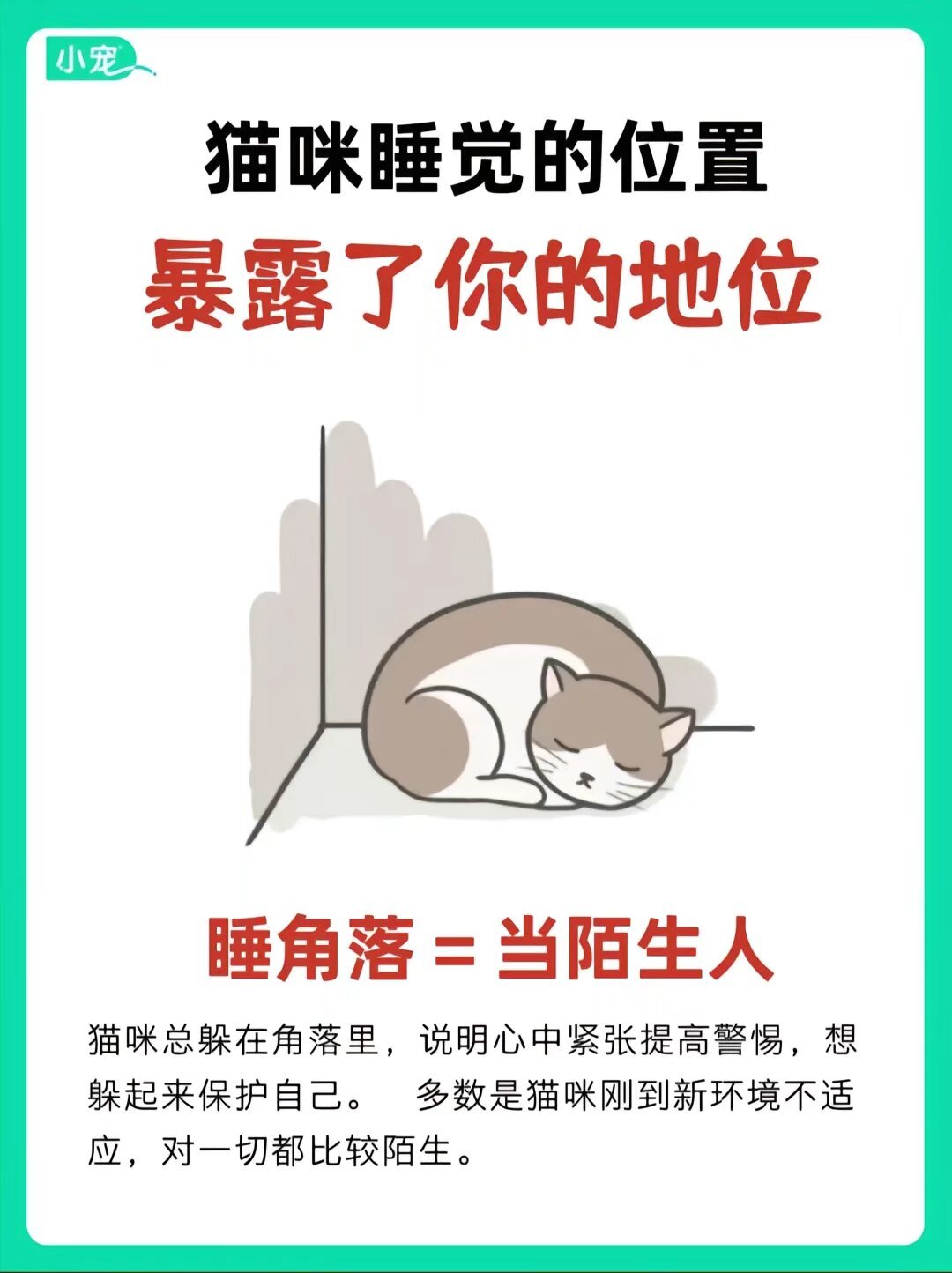【球盟会】家里有喵的都知道，猫猫睡觉的位置会暴露主人的地位