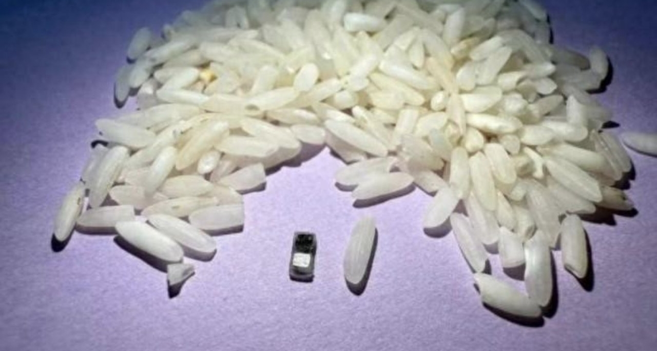 世界最小心脏起搏器问世 比米粒还小可降解被吸收