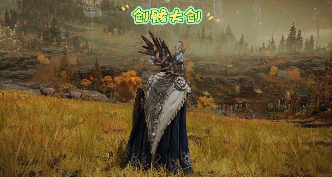 我宣布，老头环最强武器是它[cube_笑cry]