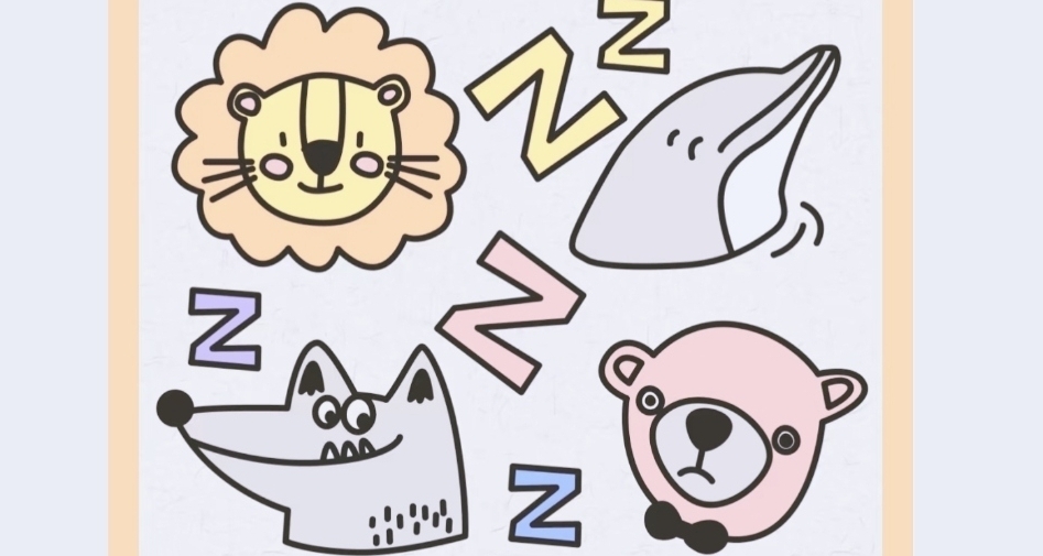先天熬夜聖體！看看你是哪種類型