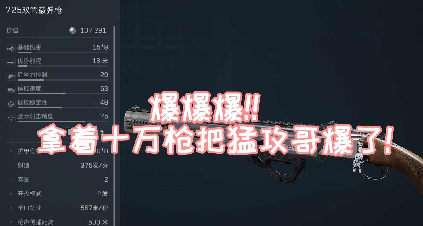 【洲树品枪】预算10w也能争出一片天？