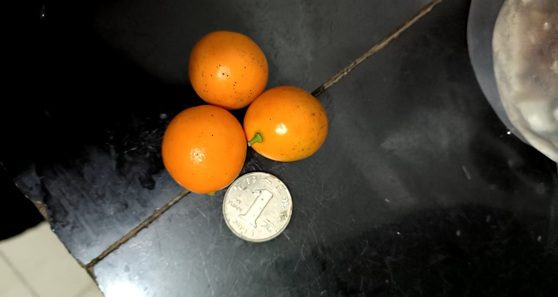 我与金桔的故事