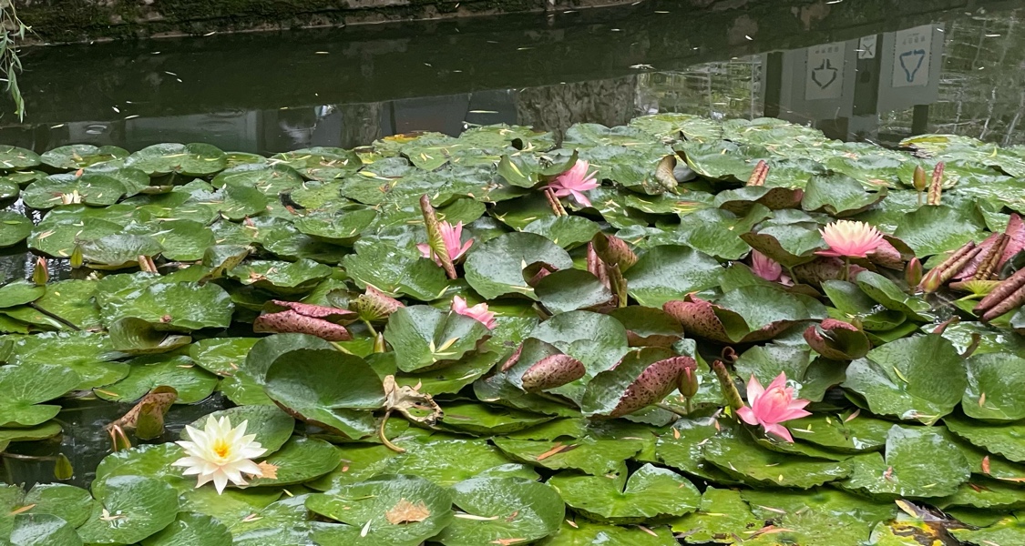 【我的畢業旅行】Day1—昆明
