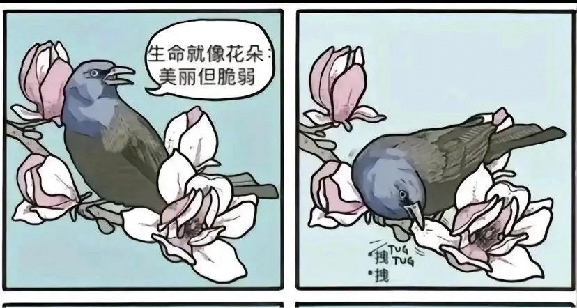 我時常害怕身邊的人死去