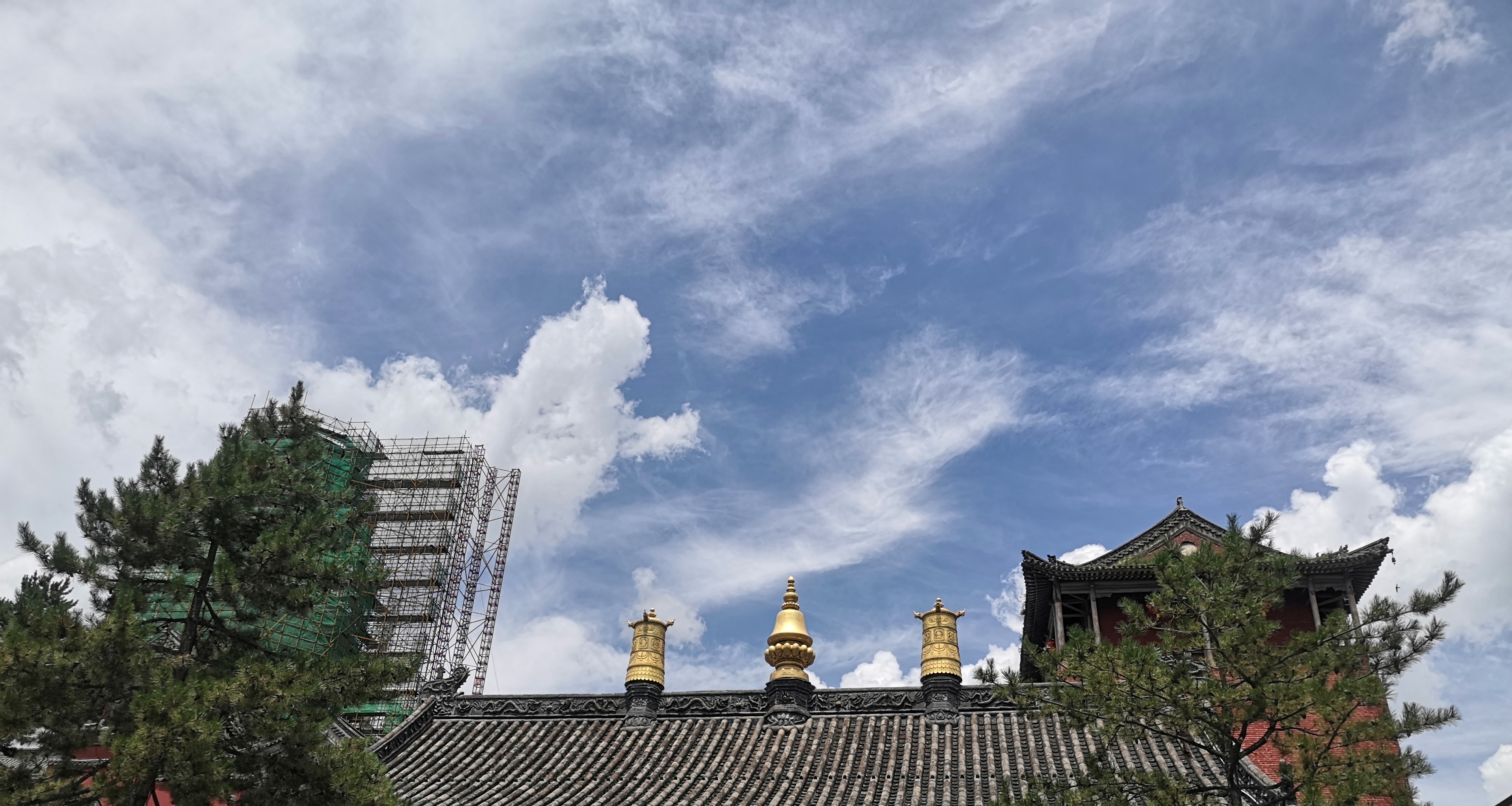 我只能吃下半碗米饭了怎么办，很急