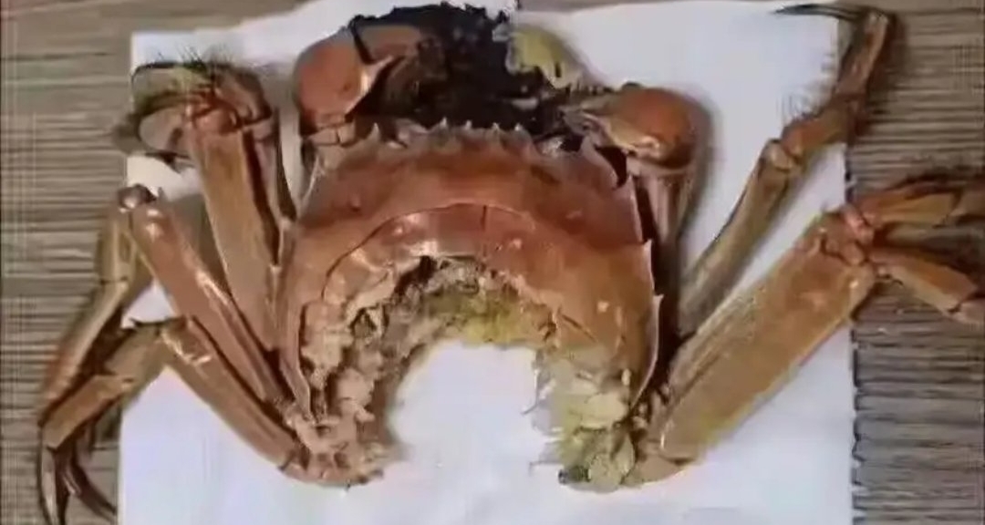 黑盒食神貼
